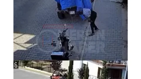 Köpeği Sevdi, Sonra Kucaklayıp Götürdü