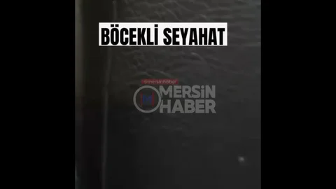 Mersin'de Feribotta Böcek Görüntüleri Tepki Çekti