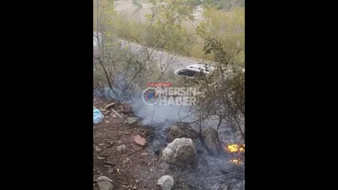 Erdemli'de Yıldırım Yangını