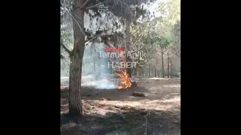 Mersin Tarsus'ta Orman Yangını