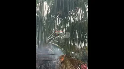 Mersin'de Palmiye Yangını