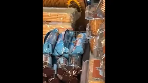 Erdemli'de Bakkalda Fare Görüntüleri