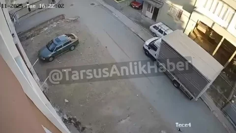 Tarsus'ta Kedi Ezildi