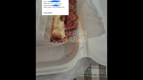 Mersin'de Tostta Canlı Kurt Görüntüleri Ortaya Çıktı