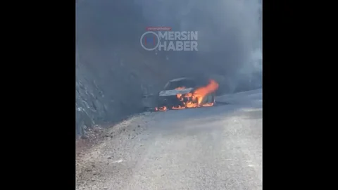 Mersin'de Yanan Araç Ormanı Kurtardı