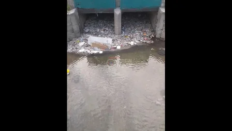 Tarsus'ta Büyük Fareler Görüntülendi