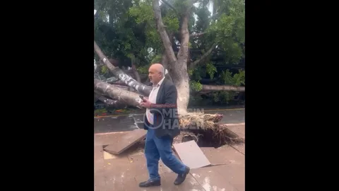 Mersin'de Fırtına Ağaçları Devirip Araçlara Zarar Verdi