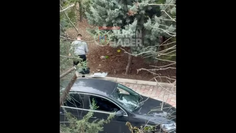 Gönülleri Isıtan Sokak Hayvanları İçin Yardım Hareketi