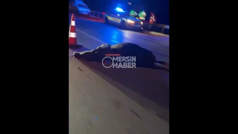 Mersin Otoyolu'nda Korkunç Kaza