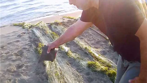 Tarsus'ta denizdeki hayalet ağlar toplandı