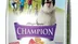 Champıon Mama Köpeklerin Besin İhtiyacını Karşılıyor