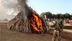 Kenya'da 15 ton fil dişi yakıldı