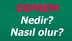 Deprem Nedir? Deprem nasıl olur? Soruların yanıtını merak edenler için