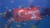 Dalgıçlar su altında Türk bayrağı açtı