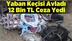 Yaban keçisi avlayana 12 bin TL ceza