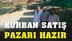 Anamur'da Kurban Satış Pazarı Hazır