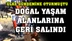 Tedavisi Yapılan Yaban Hayvanları Yaşam Ortamlarına Salındı!