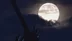 Dikkat: Son 68 Yıl İçerisinde Ay İlk Defa Pazartesi Günü Dünyaya Çok Yaklaşacak Herkes Gökyüzüne Baksın