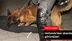 Hollanda Polisi Türklere Köpeklerle Saldırdı