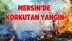 Mersin'de Ormanlık Alandaki Yangın Korkuttu