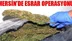 Mersin’de Esrar Operasyonu