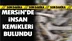 Mersin'de Bir İnsana Ait Kemikler Bulundu