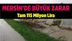 Mersin'in Zararı Çok Büyük