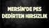 Mersin'de Hırsızlar Rahat Durmuyor