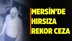 Mersin'de Hırsızlık Zanlısına Rekor Ceza