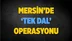 Mersin'de 'Tek Dal' Operasyonu