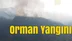 Mersin’de Orman Yangını, Henüz Sebebi Bilinmeyen Yangına Müdahale Edildi