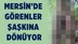 Mersin'de Görenleri Şaşkına Çeviren Ağaç