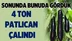 Mersin'de 4 Ton Patlıcan Çalındı