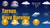 Tarsus Hava Durumu; 25 Ocak Cuma, 26 Ocak Cumartesi, 27 Ocak Pazar, 28 Ocak Pazartesi tahminler