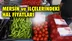 Mersin Hal Müdürlüğü Fiyat Listesi (18 Mayıs 2019 Cumartesi)