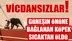 Antalya’da Çatıya Zincirle Bağlanan Köpek Sıcaktan Yaşamını Yitirdi