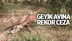 Mersin'de Geyik Avcısına Rekor Ceza
