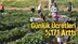 Mevsimlik Tarım İşçilerinin Ortalama Günlük Ücretleri %17,1 Arttı
