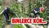 Mersin'in Silifke ve Anamur İlçelerinde Jandarma Ekipleri Tarafından Uyuşturucu Madde Elde Etmek Amacıyla Yasadışı Ekime Yönelik Operasyon