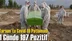 Tarsus’ta Ürküten Vaka Sayısı! Mersin Tarsus'ta Koronavirüs Vaka Sayısında Korkutan Rakamlar