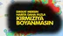 Mersin ve İlçelerindeki Koronavirüs Yoğunluğunu Gösteren Haritada Korkunç Görüntü! İşte Kırmızı Yoğunluklu Harita