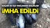 Mersin'de Kaçak Avlanan Orkinos Balıkları Ele Geçirildi
