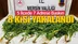 Mersin’in 5 İlçesinde Yasadışı Kenevir Ekimi, Uyuşturucu Madde İmal ve Ticareti Operasyonu Yapıldı! Baskınlarda Çok Sayıda Şüpheli Gözaltına Alındı