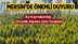 Mersin’de İlçe Kaymakamlığı Duyurdu! 15 Gün Boyunca Yetkililer Haricinde Ormanlık Alanlara Girilemeyecek