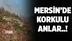 Mersin’de Yürekler Ağıza Geldi! Evde Başlayan Yangın Ormanlık Alana Sıçradı