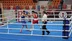 Darıca'da Türkiye Boks Şampiyonası Final Heyecanı Yaşanacak