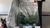 Aydın Buharkent'te Jandarma Narkotik Ekipleri Tarafından Kenevir Yetiştiren Şahıs Gözaltına Alındı