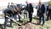 Bayburt Merkez'de Öğrenciler Fidanları Toprakla Buluşturdu