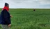 Tekirdağ Marmaraereğlisi'nde Hububat ve Kanola Ürünleri İçin Denetim Gerçekleştiriliyor