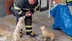 Niğde Merkez'de Baraj Taşkını Sonrası 2 Yavru Köpek Kurtarıldı